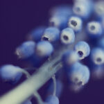 3d开奖结果695历史开奖前后关系深度解析 drl5h309e