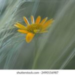 3d开奖结果426号码具体开奖日期查询 l8rj6cy