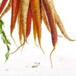 2017世乒赛央视全程直播精彩赛事不容错过 lx91d