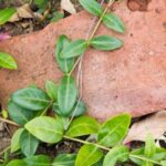 3D开奖结果今日揭晓:最新中奖号码是多少? tk1benj