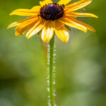 3d开奖结果什么时候公布具体开奖时间 uqml8d