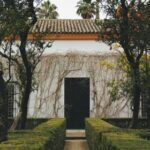 2016里约奥运会开幕式现场直播盛况 vzmbcqc